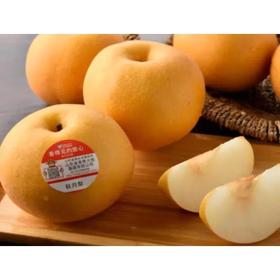 放心秋月梨 约800g/份  梨子 安全安心可追溯 伊藤自有品牌