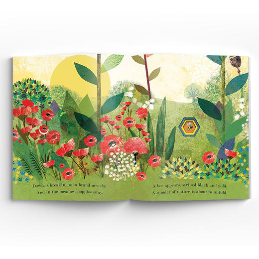 Nature Peek-through 窥见自然 商品图2