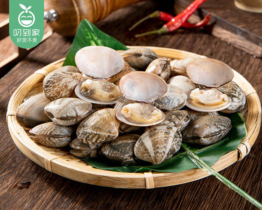 【叼鲜】本港鲜活大花蛤/1份（约500g，约35-45个） 商品图3