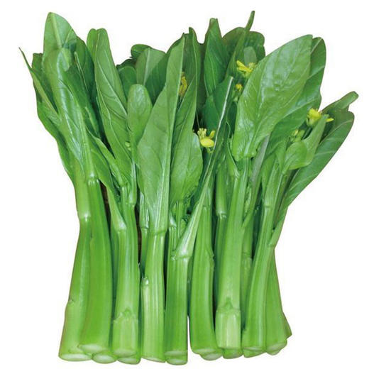 【蔬】 广东菜心 商品图5