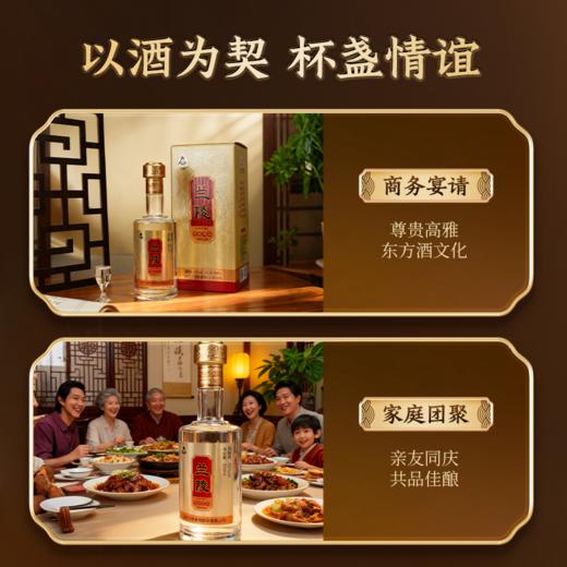 兰陵 纯粮经典 52度优级浓香型白酒500ml*1瓶纯粮酿造 商品图3