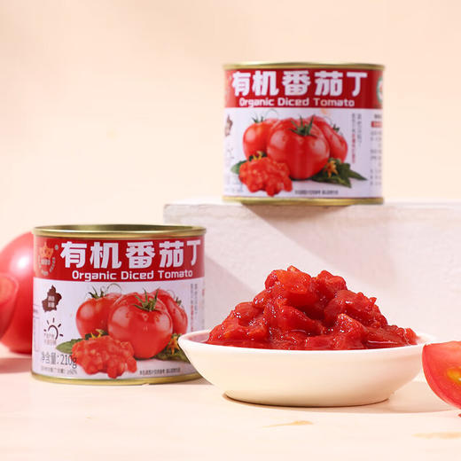 新疆冠农（有机）番茄丁 西红柿 有机食品认证 商品图2