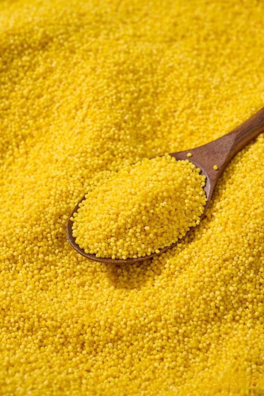 一粒翁-小米（500g/包） 商品图0