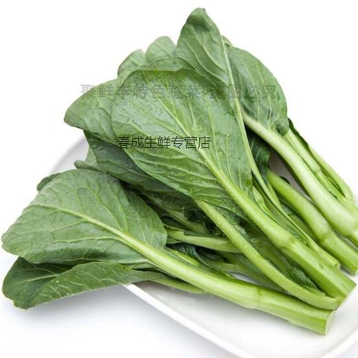 【蔬】 广东菜心 商品图4