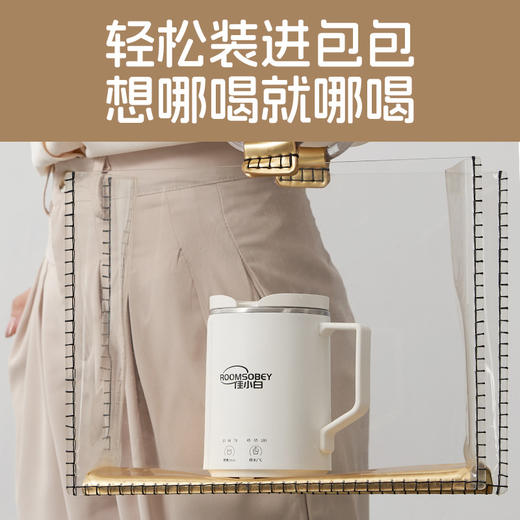 礼品电炖烧水杯小型便携式办公室烧水壶煮茶电热水杯温控可调温 商品图3