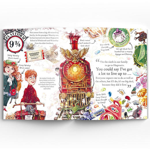 Pocket Potters: 哈利·波特魔法指南 口袋波特 商品图3
