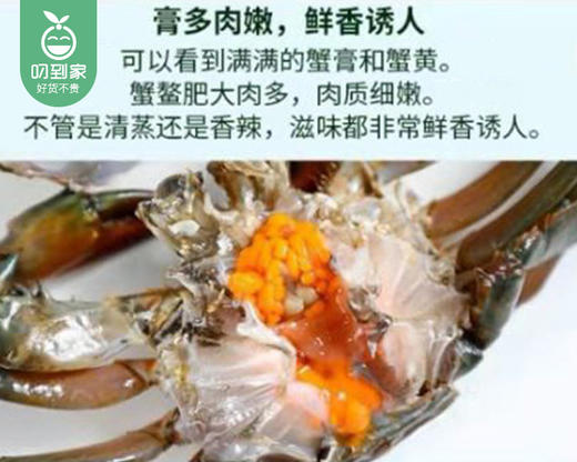 鲜活红树林红膏鲟/1份（2只，共250±30g） 商品图1