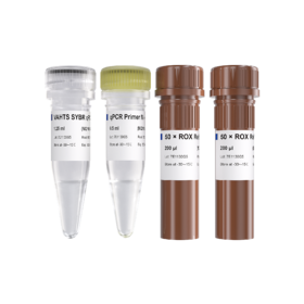 VAHTS Library Quantification Kit for Illumina