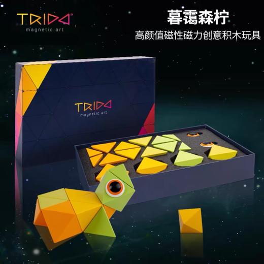 Trido磁力积木百变几何造型拼搭磁性艺术柏拉图积木儿童益智玩具 商品图0