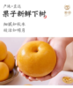 旅院中秋节方案C优质水果套餐 商品缩略图4