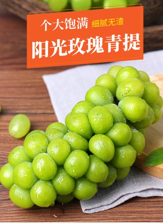 旅院中秋节方案C优质水果套餐 商品图1