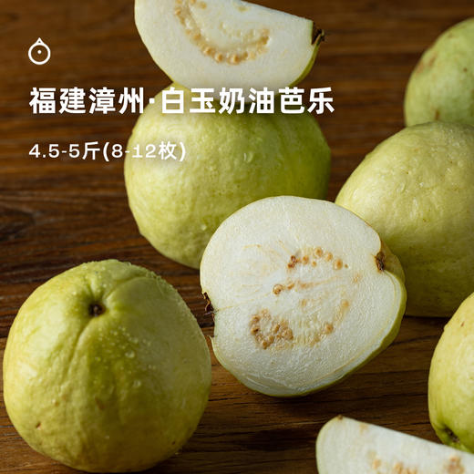 7天内发 企鹅市集|福建漳州 白玉奶油芭乐 浓郁热带水果芳香 果肉软糯细腻 商品图0