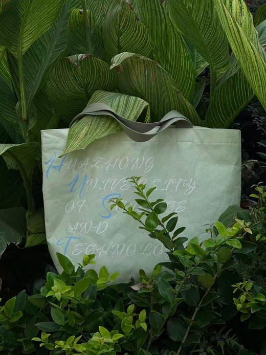 浅绿笺·随行杜邦纸袋帆布包 商品图0