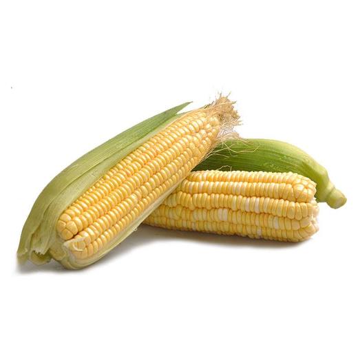 【蔬】去皮水果玉米/甜玉米2根（约580g） 商品图0