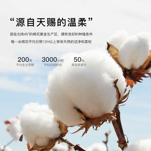 【3条装】法式浪漫碎花中腰纯棉内裤女柔软亲肤100%棉加长裆3811森系碎花内裤 商品图3