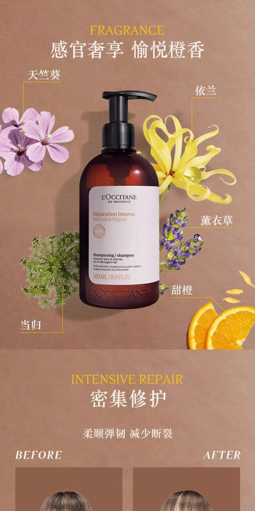 欧舒丹草本香菁纯平衡洗发露 500ML 商品图0