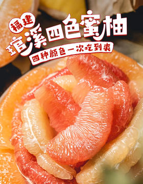 【到手4个】福建琯溪四大名柚 净重8-9斤（三‮蜜红‬柚/红‮蜜心‬柚/黄柚/白柚各一粒）