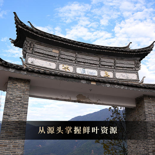 【冰岛老寨熟茶】【积分兑换价：390元+500积分】2015年陈纯冰岛老寨古树茶熟茶市面难见以茶王之姿问鼎熟茶品质高峰，357克/饼 商品图6