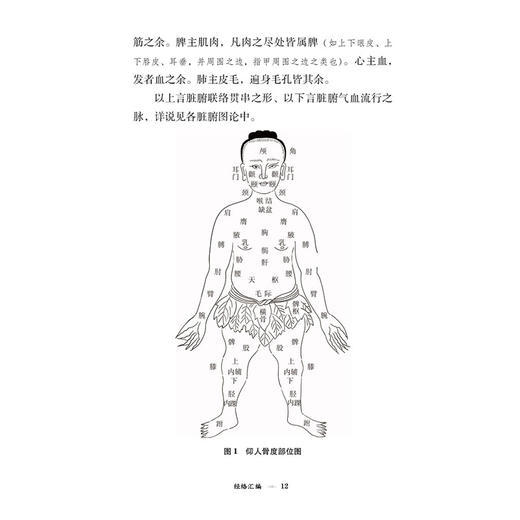 经络汇编 针灸经典医籍必读丛书 (明)翟良撰 贾红玲 张永臣 张学成校注 脏腑联络分合详说等 9787521453553中国医药科技出版社 商品图4