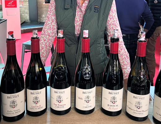 第289期丨步麓庄园璞玉自然酒干红2024 商品图2