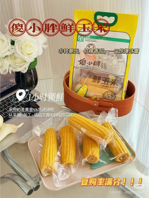 傻小胖鲜玉米 商品图3