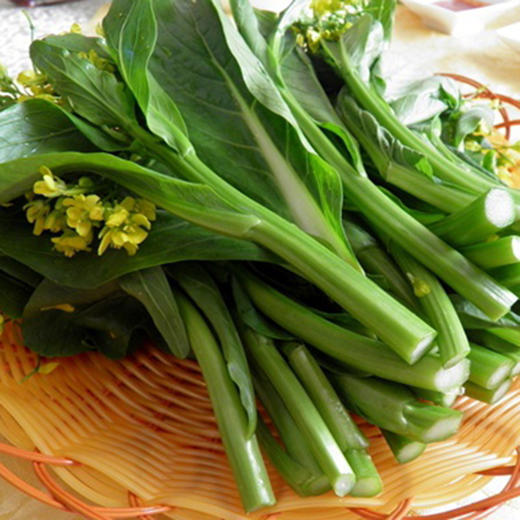 【蔬】 广东菜心 商品图3