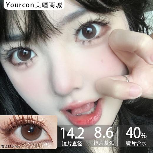 Kaylens日抛·星褐闪蝶·14.2mm中等着色·10片装 商品图0