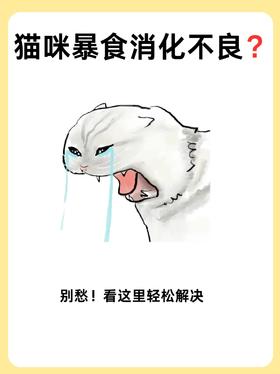 💊猫咪暴食消化不良？快进来学习一下
