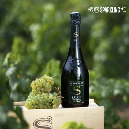 Salon 2015 沙龙香槟 2015 年份 商品图1