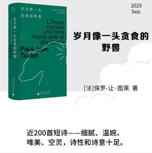 纯粹·岁月像一头贪食的野兽  [法]保罗-让·图莱  著 商品图0