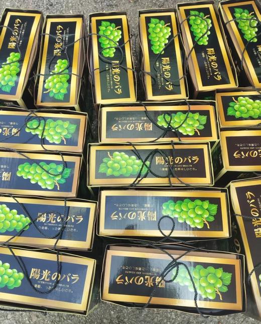 宾川阳光玫瑰礼盒（昆明市区物业中心自提产品） 商品图2