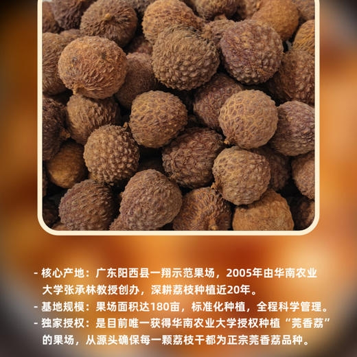 莞香荔荔枝干1斤装 商品图2