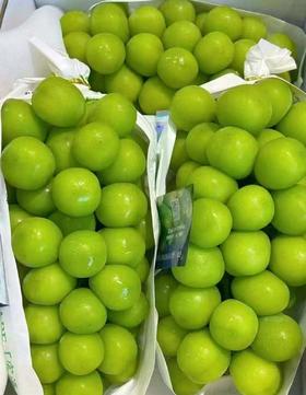 宾川阳光玫瑰礼盒（昆明市区物业中心自提产品）