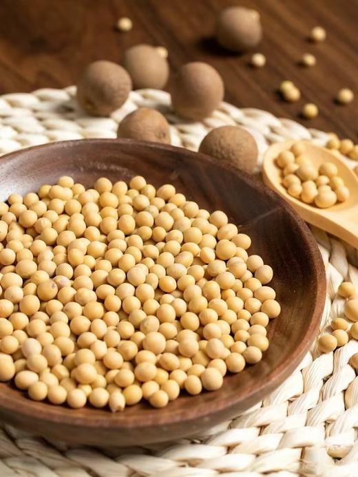 一粒翁-大粒黄豆（430/包） 商品图0