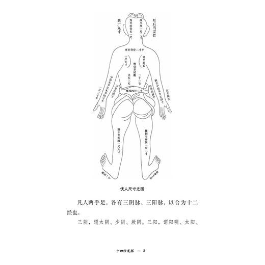 十四经发挥 针灸经典医籍必读丛书(元)滑寿著 贾红玲 张永臣 张学成校注适合中医药院校师生及临床医生阅读参考中国医药科技出版社 商品图4