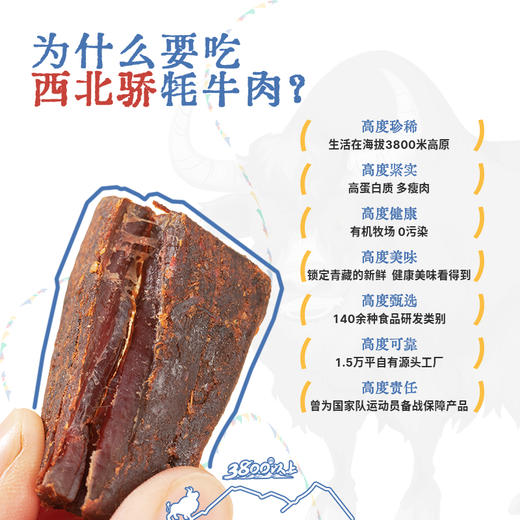 青海 西北骄 手撕牦牛肉干150g 商品图0