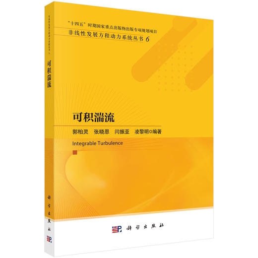 可积湍流 商品图0