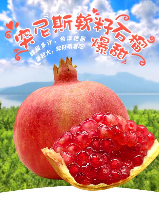 旅院中秋节方案B洗护套餐 商品图11