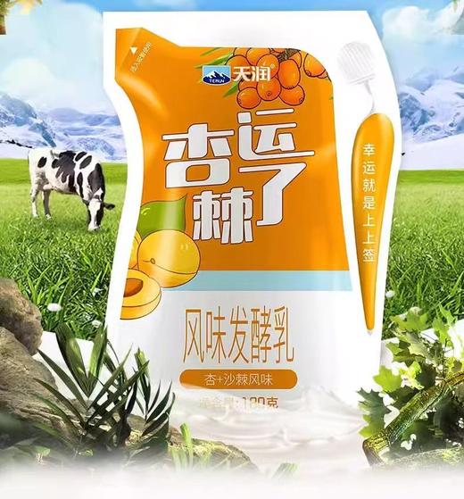 杏运棘了 风味发酵180g×12 商品图3