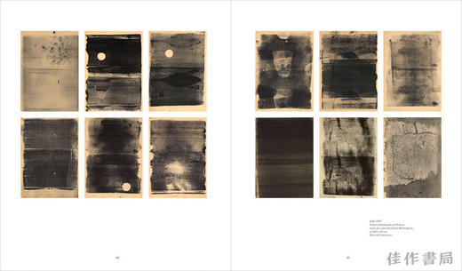 Gerhard Richter: Landscape / 格哈德·里希特：风景 商品图3