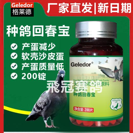 【种鸽回春宝】调整配对 雌鸽不孕、雄鸽无精（格莱德） 商品图0