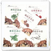 【全5册】小小本草变身记 李诺娅 绘 “一起向未来”中医药文化系列丛书 中国中医药出版社 商品缩略图2