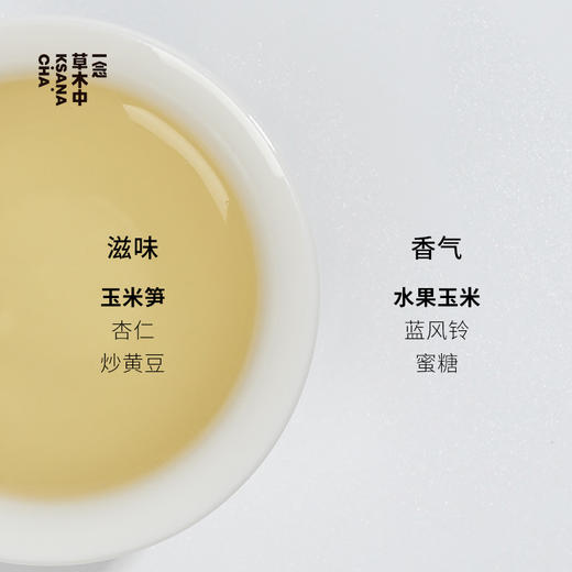 映玉·珠兰绿茶 | 自在茶系列 | 2.5g*7包 | 绿茶类 商品图1