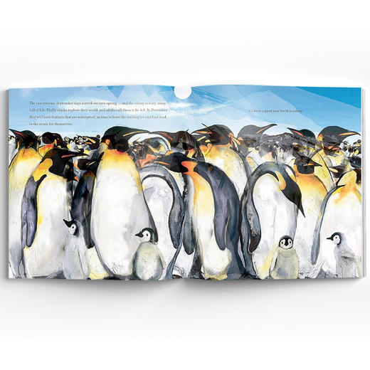 Protecting the Planet 动物星球守护者 商品图4