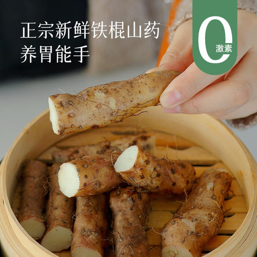 【新鲜铁棍山药上市】正宗铁棍山药只选河南焦作特有垆土地种植，目前山药是霜降前，口感更鲜嫩~ 商品图0