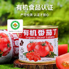 新疆冠农（有机）番茄丁 西红柿 有机食品认证 商品缩略图1