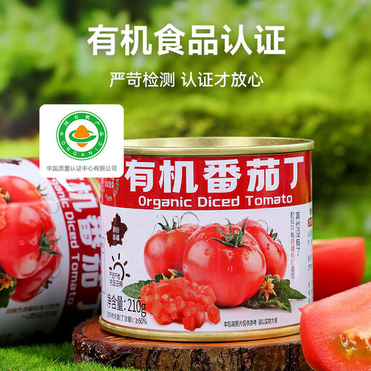 新疆冠农（有机）番茄丁 西红柿 有机食品认证 商品图1