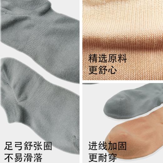 SUKENO夏季舒适船袜女款纯棉浅口短袜 商品图2