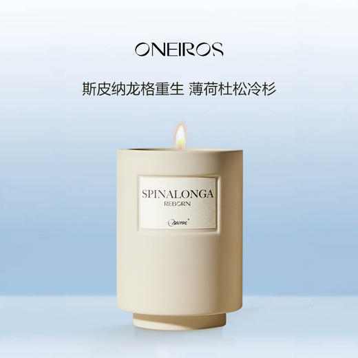 Oneiros香薰蜡烛280g 家居香氛海洋调木质调番茄叶玫瑰墨香 商品图5