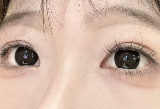 Kaylens半年抛·嘟嘟黑·14.5mm大着色 商品图5